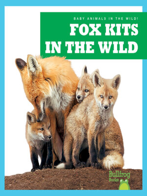 cover image of Fox Kits in the Wild